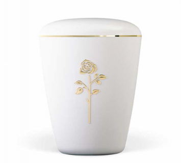 H26106 weiß, Rose in Gold