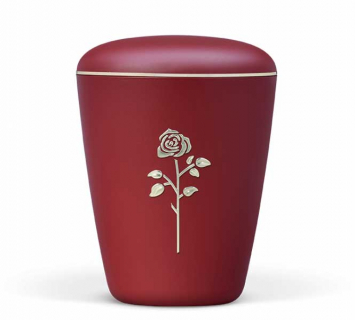 H26306 rot, Rose in Gold