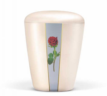 H26709-VRO perlmutt 'Rote Rose'